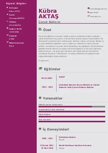 Çocuk Bakıcısı CV Örnekleri cv indir